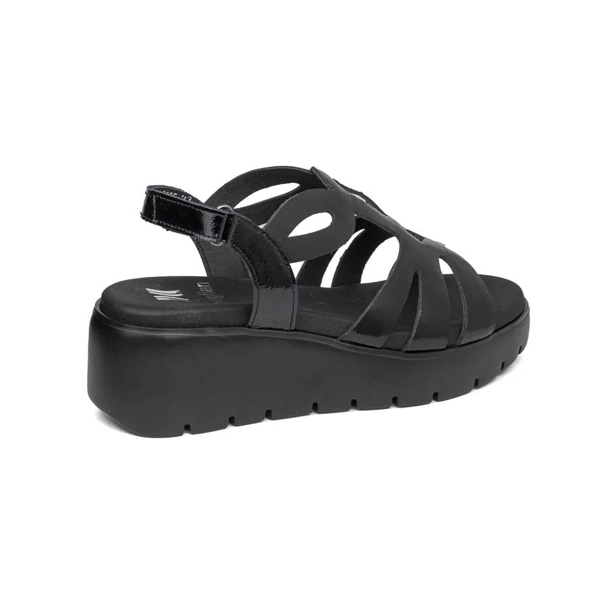 32005 | Bera Negro