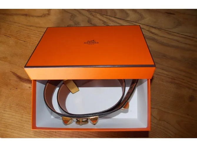 Hermès Collier de chien Negro 